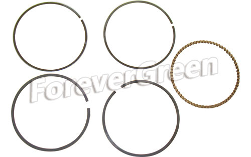 67008A Piston Ring 67.25mm